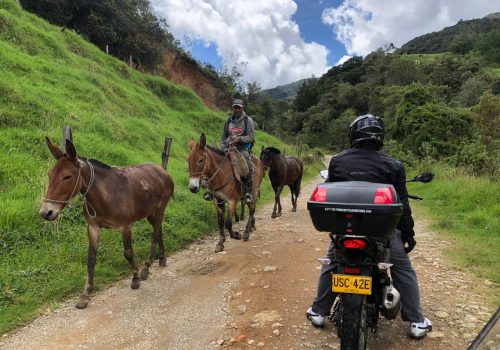 Motorcycle Tour in Medellin